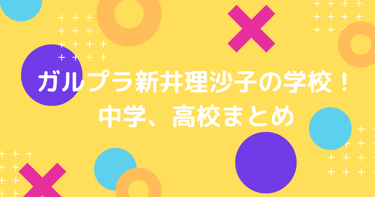 新井理沙子の学校